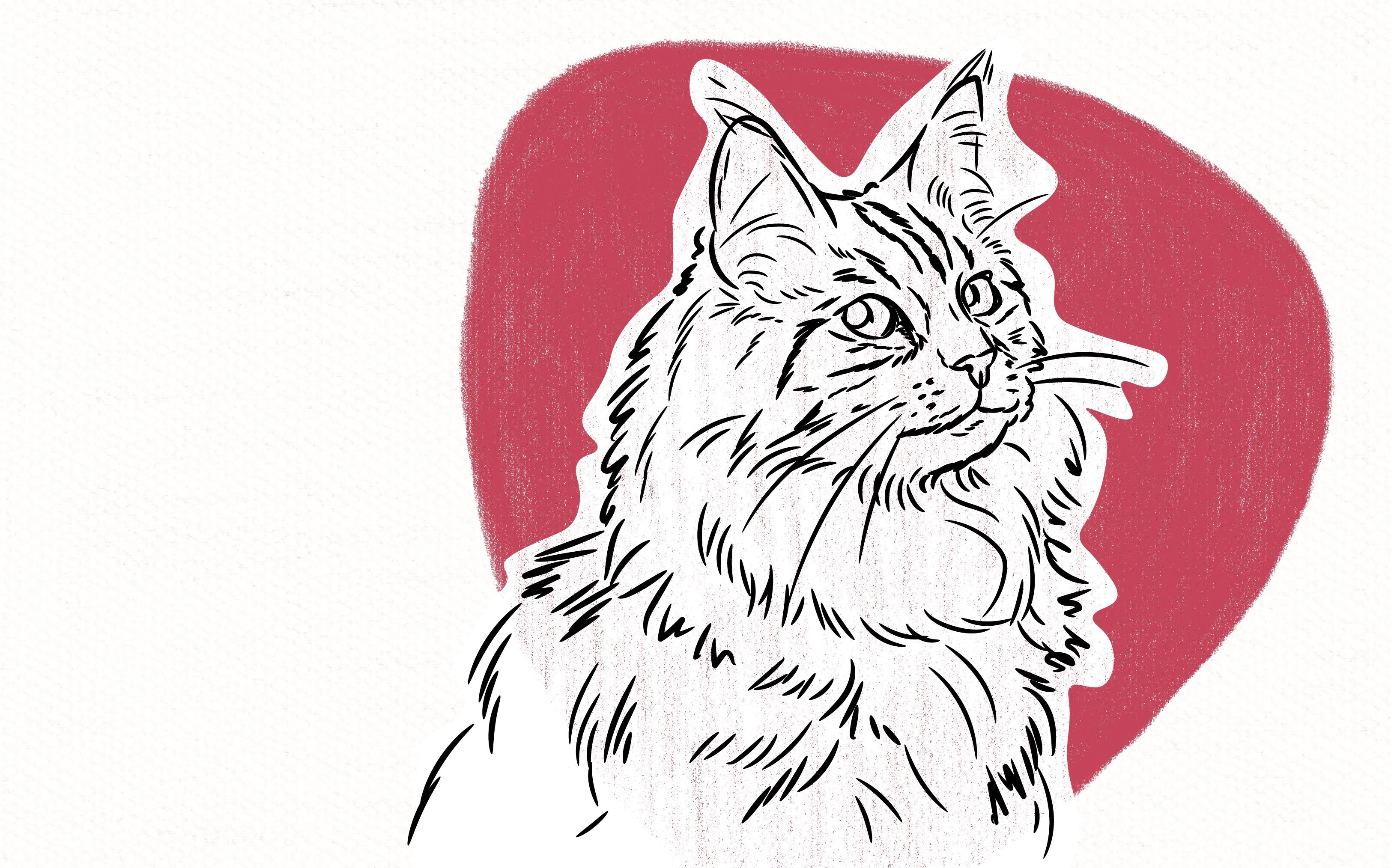 The finished Just Line cat portrait